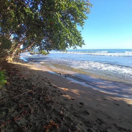 מלון Puerto Viejo de Talamanca Escape Caribeno מראה חיצוני תמונה