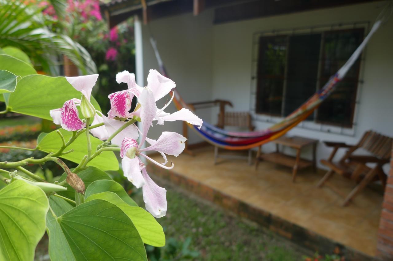 מלון Puerto Viejo de Talamanca Escape Caribeno מראה חיצוני תמונה
